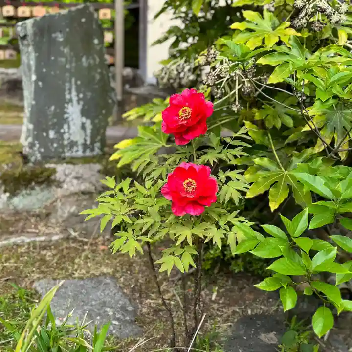 伊勢の国 四天王寺(三重県)