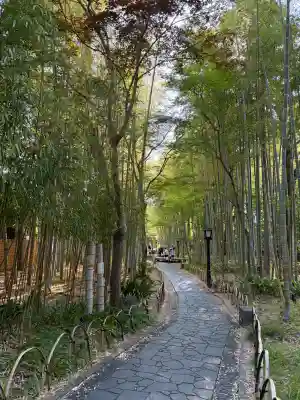 修禅寺の{uncategorized: "未分類", other: "その他", undefined: "問題あり", building: "その他建物", grave: "お墓", sacred_gate: "鳥居", guardian: "狛犬", statue: "像", buddha: "仏像", history: "歴史", nature: "自然", garden: "庭園", animal: "動物", pagoda: "塔", temizu: "手水舎", mountain_gate: "山門・神門", sanctuary: "本殿・本堂", subordinate: "末社・摂社", art: "芸術", scenery: "景色", jizo: "地蔵", ema: "絵馬", goshuin: "御朱印", omikuji: "おみくじ", items: "授与品その他", amulet: "お守り", goshuincho: "御朱印帳", eats: "食事", festival: "お祭り", votive_dance: "神楽", shichigosan: "七五三参", wedding: "結婚式", experience: "体験その他", initially: "初詣", around: "周辺", anti_infection: "感染症対策"}