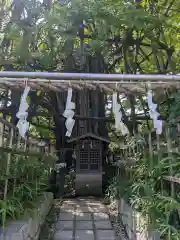 稲毛神社(神奈川県)