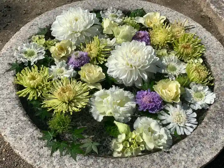 浄誓寺の手水舎