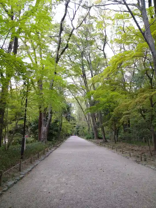 賀茂御祖神社(下鴨神社)の自然
