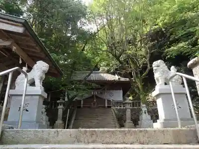 鉾島神社の狛犬