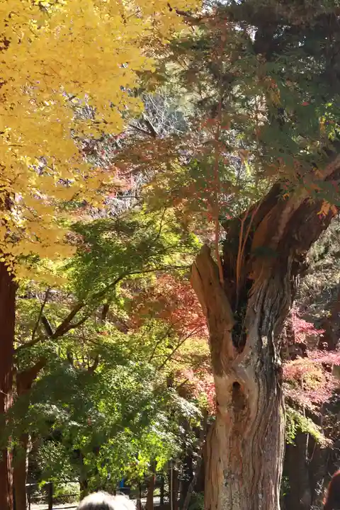 浄智寺(神奈川県)