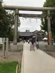 浅草神社の鳥居