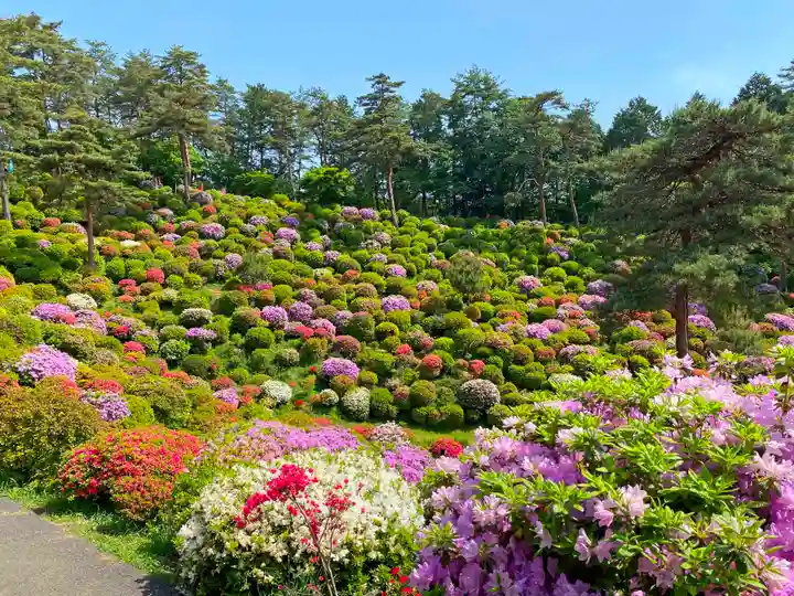 塩船観音寺の庭園
