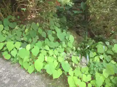 水潜寺(埼玉県)