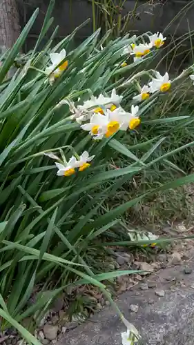 徳圓寺(京都府)