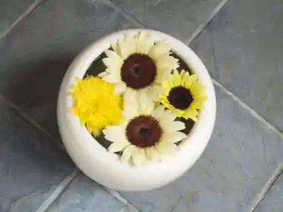 立志神社(滋賀県)