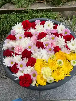 埼玉厄除け開運大師・龍泉寺（切り絵御朱印発祥の寺）の{uncategorized: "未分類", other: "その他", undefined: "問題あり", building: "その他建物", grave: "お墓", sacred_gate: "鳥居", guardian: "狛犬", statue: "像", buddha: "仏像", history: "歴史", nature: "自然", garden: "庭園", animal: "動物", pagoda: "塔", temizu: "手水舎", mountain_gate: "山門・神門", sanctuary: "本殿・本堂", subordinate: "末社・摂社", art: "芸術", scenery: "景色", jizo: "地蔵", ema: "絵馬", goshuin: "御朱印", omikuji: "おみくじ", items: "授与品その他", amulet: "お守り", goshuincho: "御朱印帳", eats: "食事", festival: "お祭り", votive_dance: "神楽", shichigosan: "七五三参", wedding: "結婚式", experience: "体験その他", initially: "初詣", around: "周辺", anti_infection: "感染症対策"}