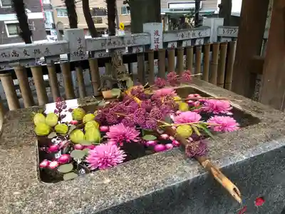 高円寺氷川神社(東京都)