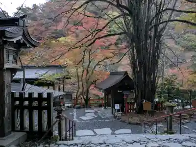 貴船神社の{uncategorized: "未分類", other: "その他", undefined: "問題あり", building: "その他建物", grave: "お墓", sacred_gate: "鳥居", guardian: "狛犬", statue: "像", buddha: "仏像", history: "歴史", nature: "自然", garden: "庭園", animal: "動物", pagoda: "塔", temizu: "手水舎", mountain_gate: "山門・神門", sanctuary: "本殿・本堂", subordinate: "末社・摂社", art: "芸術", scenery: "景色", jizo: "地蔵", ema: "絵馬", goshuin: "御朱印", omikuji: "おみくじ", items: "授与品その他", amulet: "お守り", goshuincho: "御朱印帳", eats: "食事", festival: "お祭り", votive_dance: "神楽", shichigosan: "七五三参", wedding: "結婚式", experience: "体験その他", initially: "初詣", around: "周辺", anti_infection: "感染症対策"}