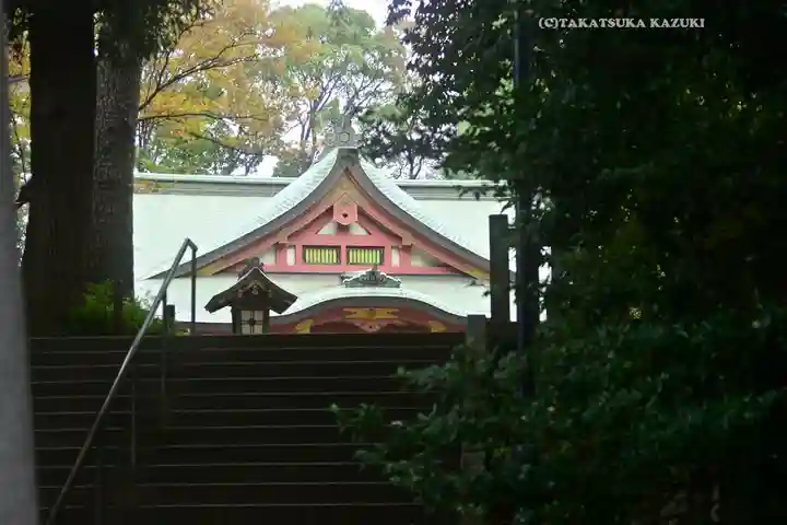 世田谷八幡宮(東京都)