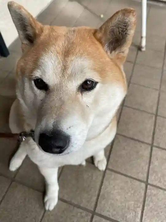 笠䅣稲荷神社(神奈川県)