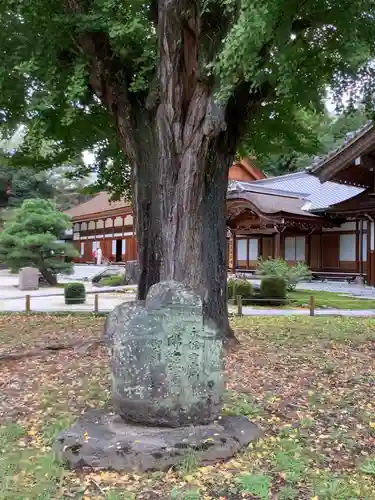 永保寺の自然