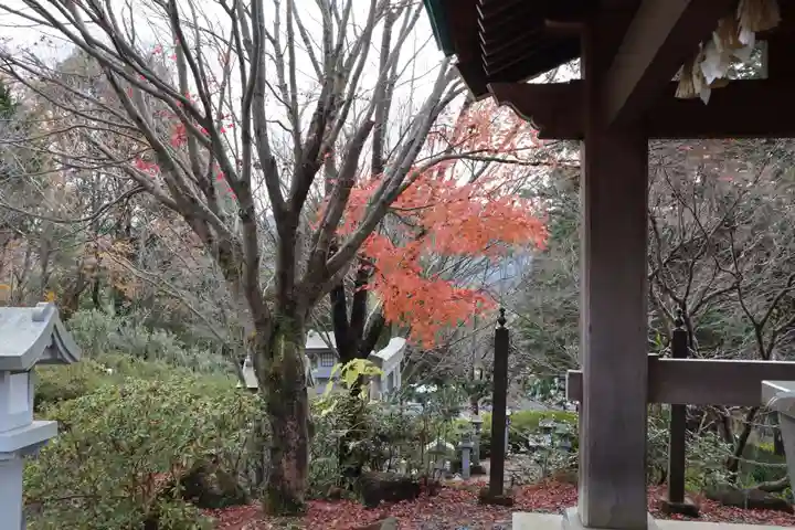 常陸国出雲大社の自然