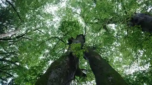 手長神社の自然