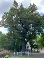 祥龍寺(北海道)