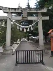 草加神社の鳥居