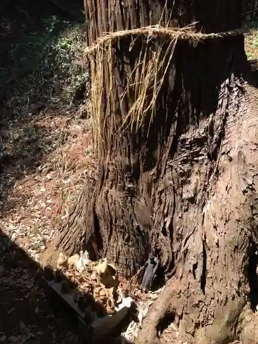 主石神社の自然