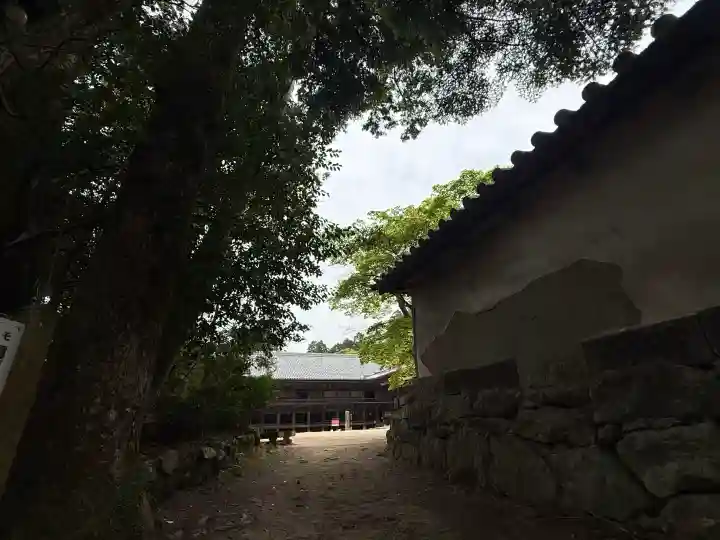 圓教寺の{uncategorized: "未分類", other: "その他", undefined: "問題あり", building: "その他建物", grave: "お墓", sacred_gate: "鳥居", guardian: "狛犬", statue: "像", buddha: "仏像", history: "歴史", nature: "自然", garden: "庭園", animal: "動物", pagoda: "塔", temizu: "手水舎", mountain_gate: "山門・神門", sanctuary: "本殿・本堂", subordinate: "末社・摂社", art: "芸術", scenery: "景色", jizo: "地蔵", ema: "絵馬", goshuin: "御朱印", omikuji: "おみくじ", items: "授与品その他", amulet: "お守り", goshuincho: "御朱印帳", eats: "食事", festival: "お祭り", votive_dance: "神楽", shichigosan: "七五三参", wedding: "結婚式", experience: "体験その他", initially: "初詣", around: "周辺", anti_infection: "感染症対策"}