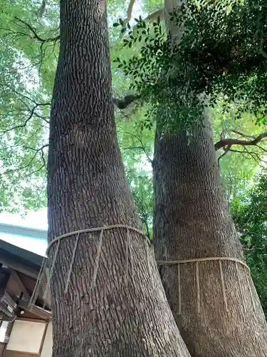 鳩ヶ谷氷川神社(埼玉県)