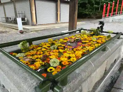 住吉神社の手水舎