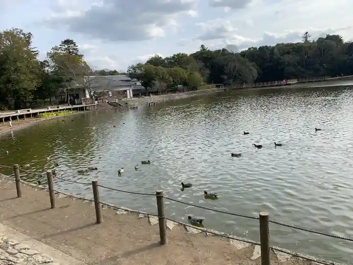 橿原神宮(奈良県)