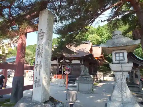 白鬚神社(滋賀県)