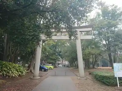 千葉縣護國神社の鳥居