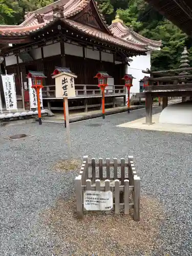 宝積寺(京都府)