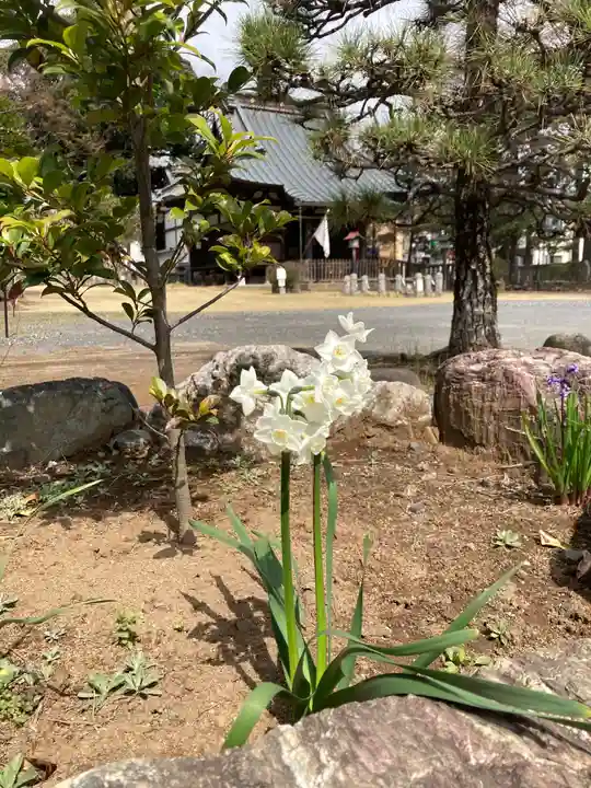 尉殿神社の自然