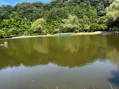 白水阿弥陀堂(福島県)