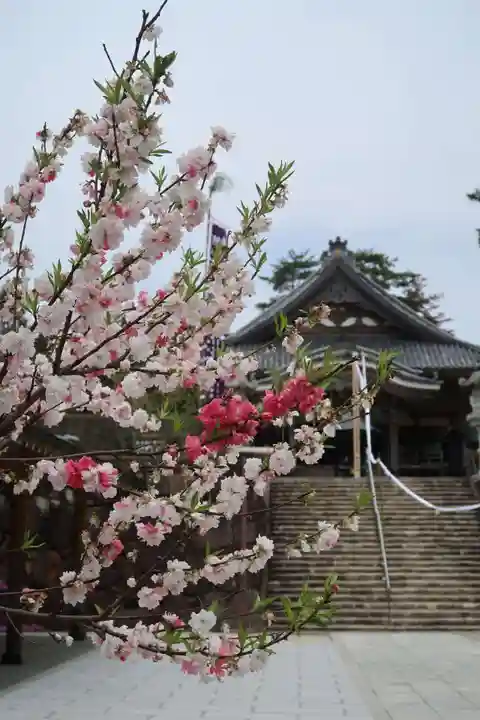 萬勝寺(飯高観音)(岐阜県)