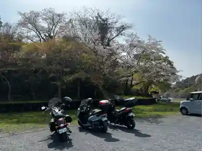 佐久奈度神社(滋賀県)