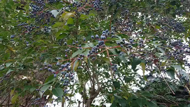 雲龍院(京都府)