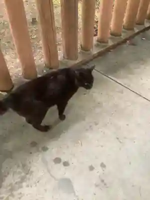 玉野御嶽神社(愛知県)