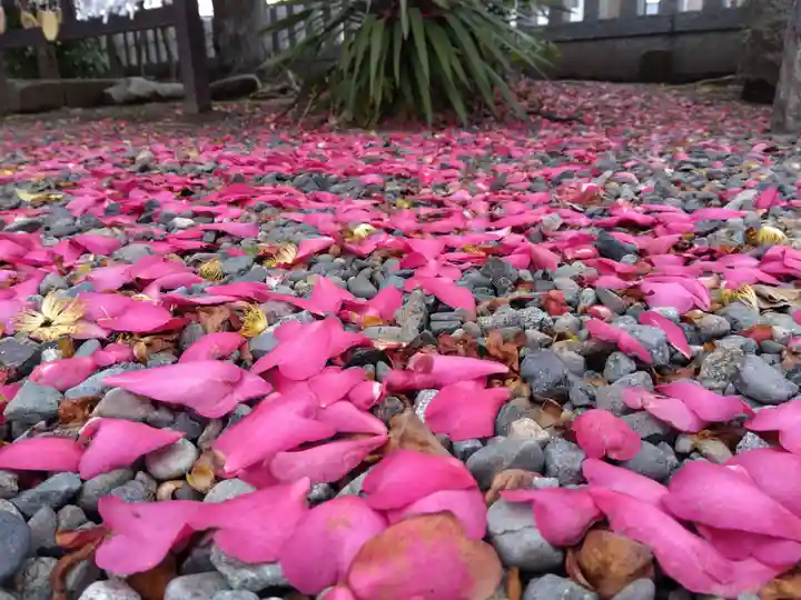 杉杜白髭神社(福井県)
