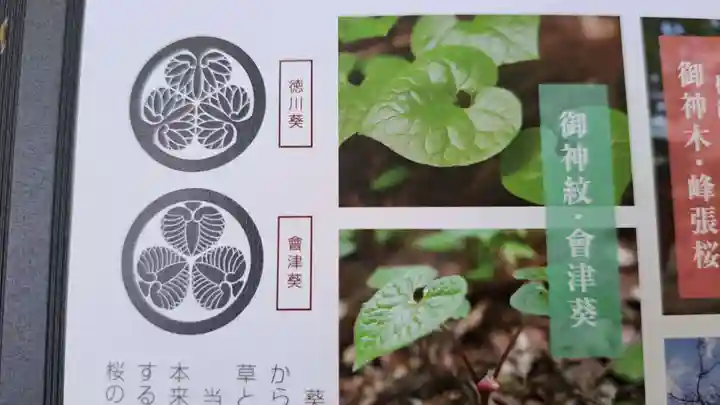 蠶養國神社(福島県)