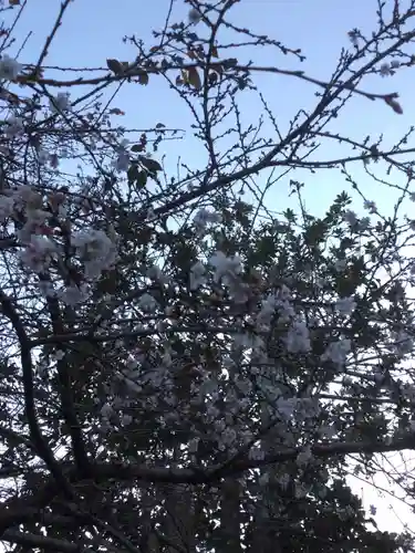 志波彦神社・鹽竈神社の自然