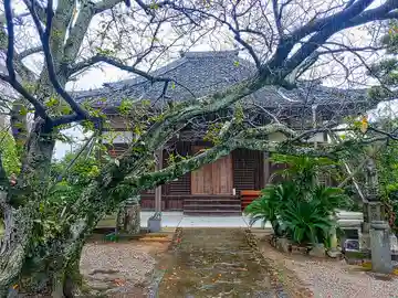 長照寺の本殿・本堂