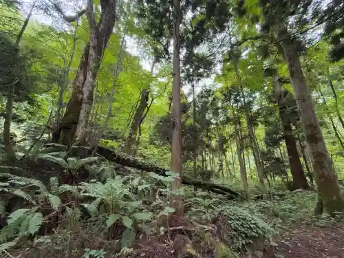 十和田神社(青森県)
