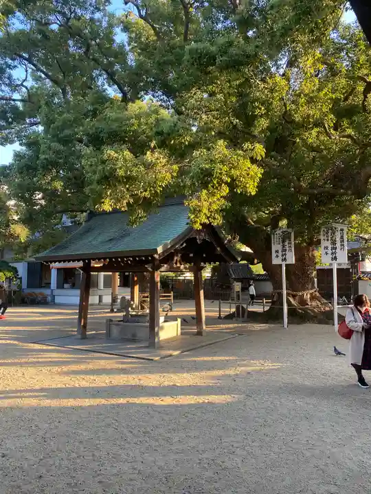 大聖観音寺(あびこ観音)(大阪府)