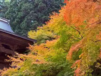 萬徳寺(福井県)