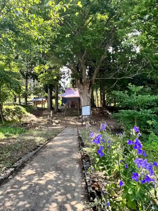 上小菅観音 (山形県)