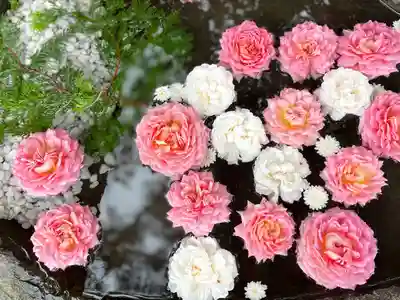 発寒神社の手水舎