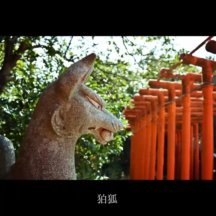 福徳稲荷神社の狛犬