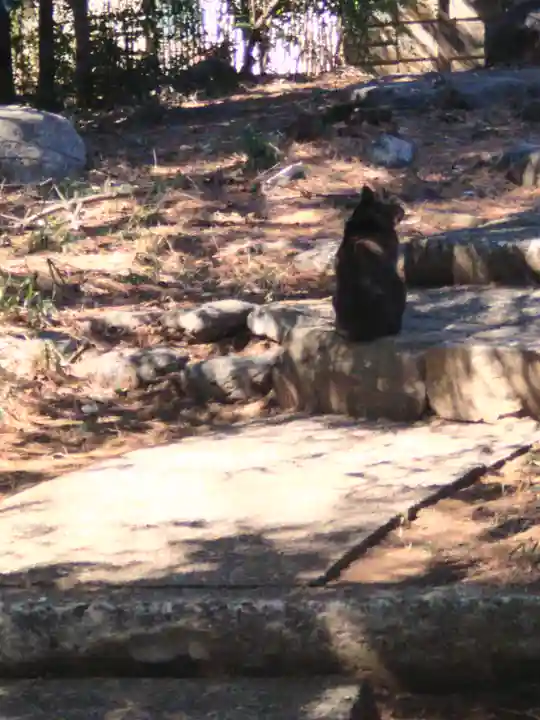 出世稲荷神社(東京都)