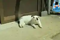 風巻神社(新潟県)