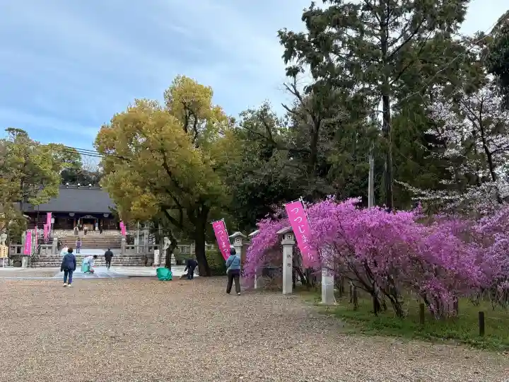 廣田神社の{uncategorized: "未分類", other: "その他", undefined: "問題あり", building: "その他建物", grave: "お墓", sacred_gate: "鳥居", guardian: "狛犬", statue: "像", buddha: "仏像", history: "歴史", nature: "自然", garden: "庭園", animal: "動物", pagoda: "塔", temizu: "手水舎", mountain_gate: "山門・神門", sanctuary: "本殿・本堂", subordinate: "末社・摂社", art: "芸術", scenery: "景色", jizo: "地蔵", ema: "絵馬", goshuin: "御朱印", omikuji: "おみくじ", items: "授与品その他", amulet: "お守り", goshuincho: "御朱印帳", eats: "食事", festival: "お祭り", votive_dance: "神楽", shichigosan: "七五三参", wedding: "結婚式", experience: "体験その他", initially: "初詣", around: "周辺", anti_infection: "感染症対策"}