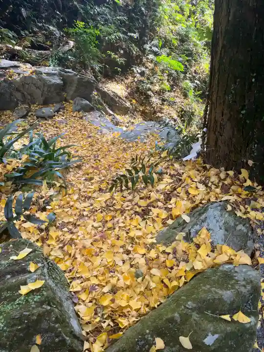伊野天照皇大神宮(福岡県)